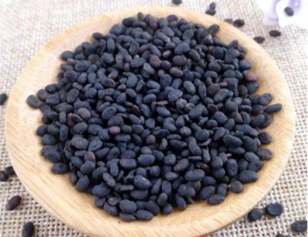 天冷夜尿多？這樣調理少起夜