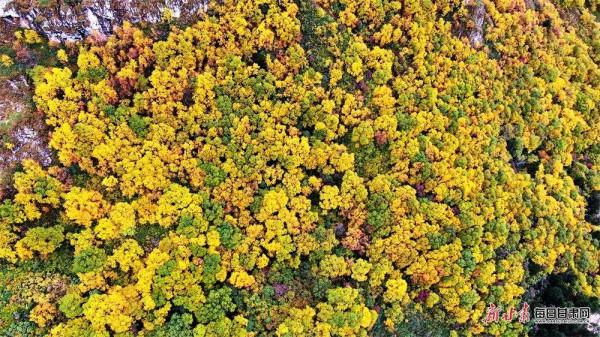 看！2500萬人的豐收圖景