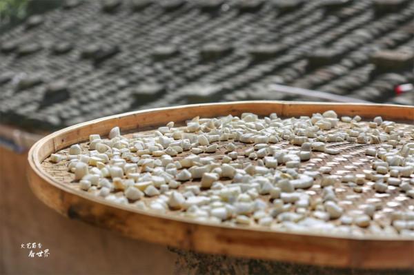 南靖土樓叫做“四菜一湯”,遊客絡繹不絕,門票年收入超2.5億 南靖土樓叫做“四菜一湯”,遊客絡繹不絕,門票年收入超2.5億