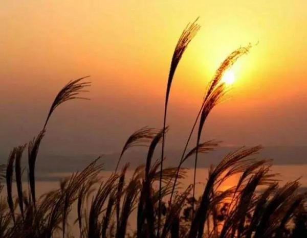 親人離去,應該逐漸淡忘還是常掛念? 親人離去,應該逐漸淡忘還是常掛念?