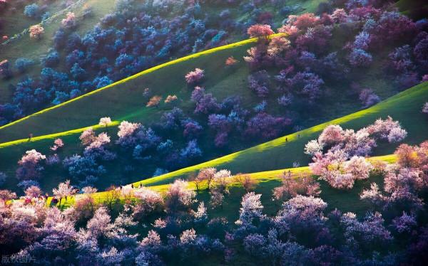 超出你想象的空中草原