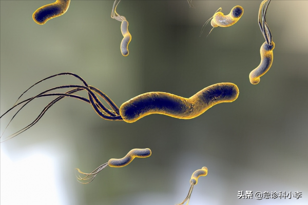 幽門螺桿菌是中國胃癌最大的禍根，牢記3個辦法徹底根除