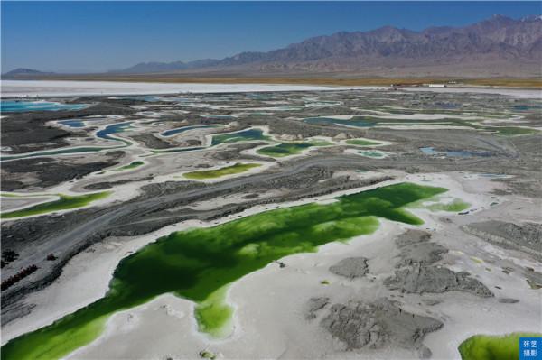 青海翡翠湖，人工採鹽幾十年挖出幾百個水坑，宛若寶石落入人間