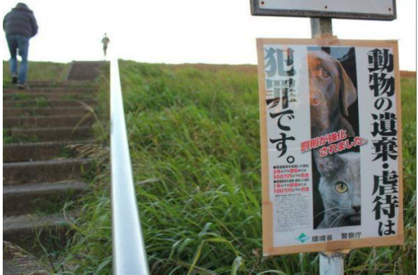 日本市川市河畔發生殘忍事件，6只貓被人切開腹腔，激怒日本網友