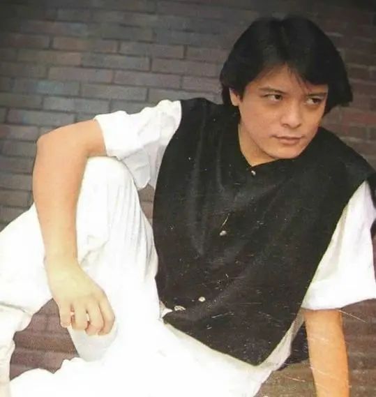 “消失”的歌壇巨星：陳淑樺拒絕縱貫線邀請，劉文正彷彿人間蒸發