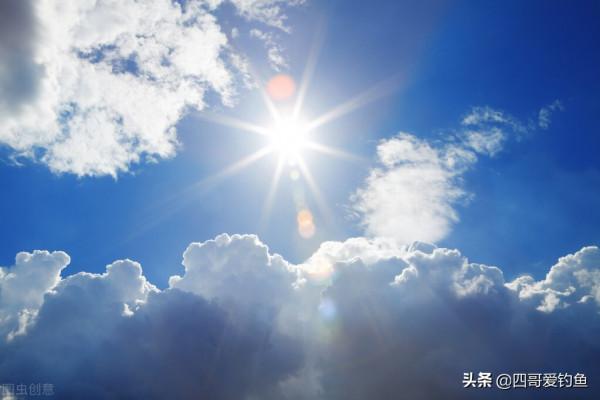 野塘遇到大滑魚,老漁翁另類釣法釣到米級草魚 野塘遇到大滑魚,老漁翁另類釣法釣到米級草魚