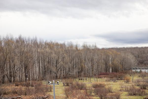 遠眺朝鮮大兵，中國這個鐵路口岸橫跨兩國，滿足你的好奇心