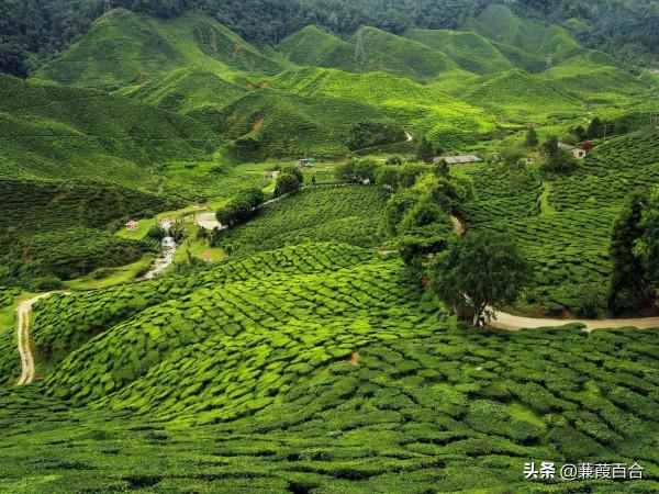 22張圖片證明了為什麼印度是“此生必去”之旅遊目的地