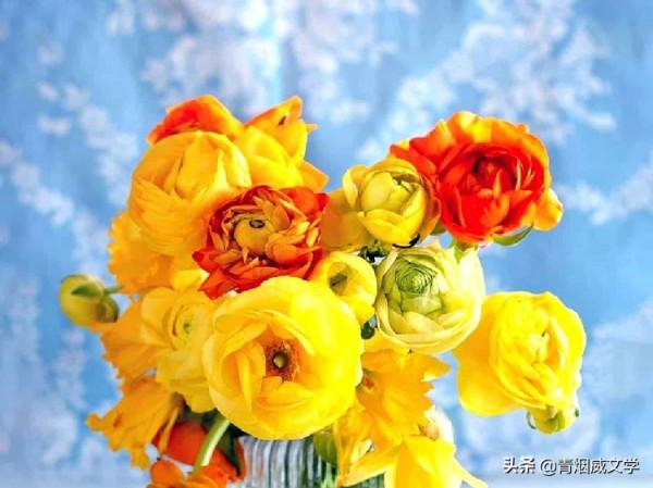 漢宮春 醉紅塵 （外二首）