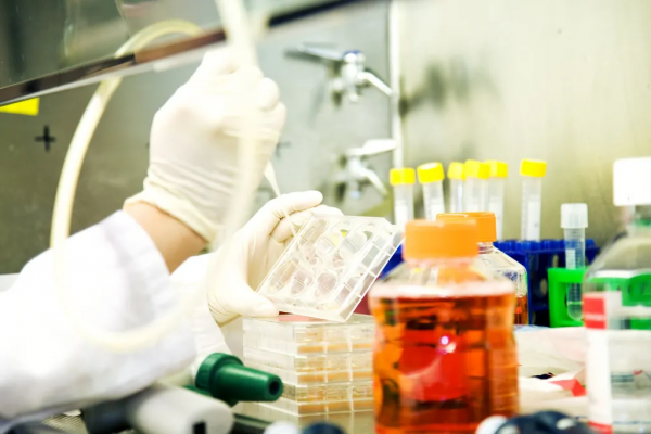 為什麼現在地球70億人了，反而沒有出現著名的科學家了？