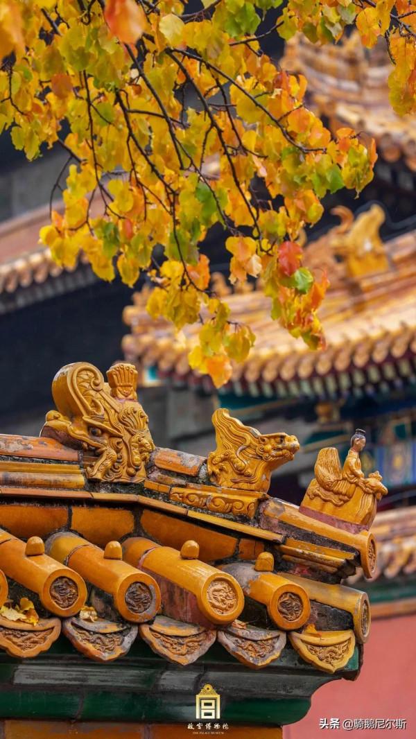 驚豔了時光，尋找故宮之美