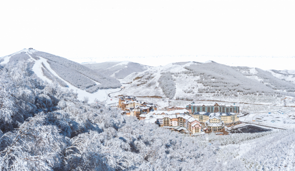 少年闖入&OpenCurlyDoubleQuote;無人之境&rdquo;：雪地上的谷愛凌與蘇翊鳴