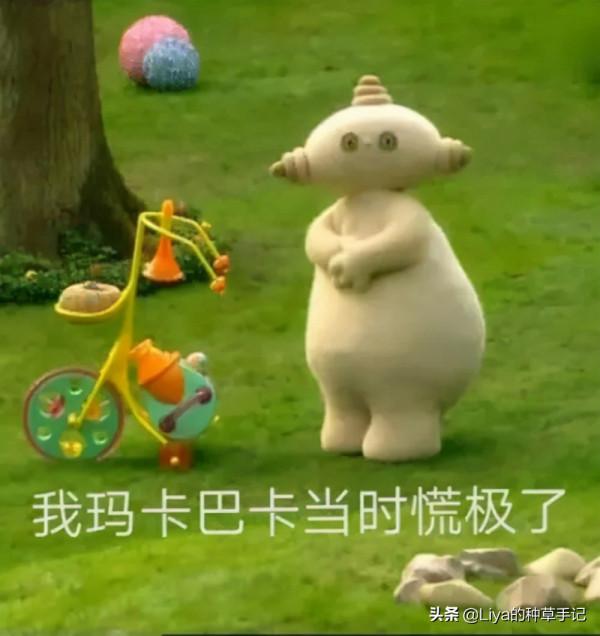 冬天別披頭散髮了，這6款髮型才夠美夠撩人