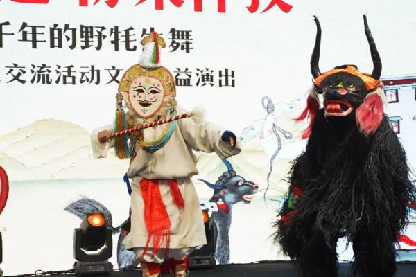 聚焦進博會|地球第三極亮相進博會,西藏非遺再受世界矚目 聚焦進博會|地球第三極亮相進博會,西藏非遺再受世界矚目