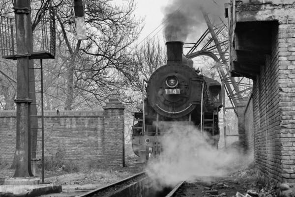 當年我和乘警藏貓貓的事「嚴建設老照片407集」