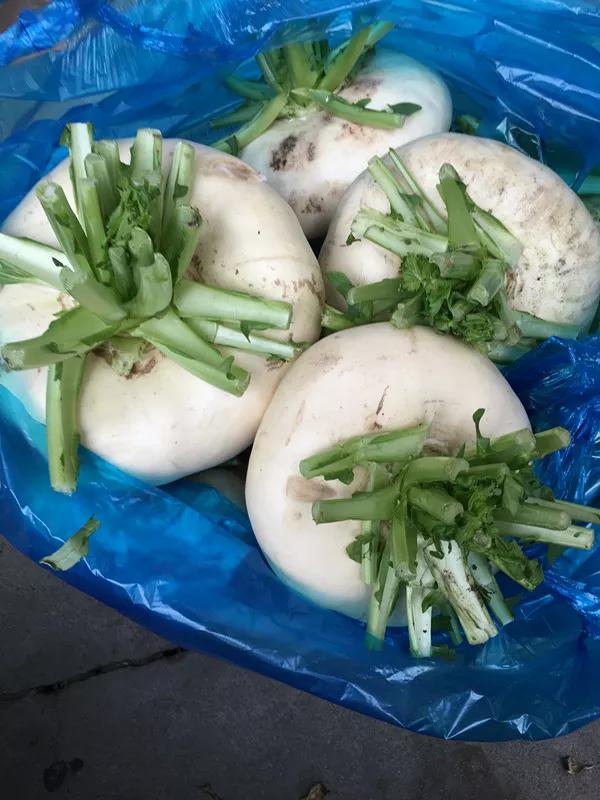 溫州有個神奇的菜叫盤菜，學名蕪青，溫州人特別愛吃，你見過沒？