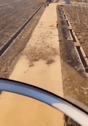 30張照片看世界:美國劫匪被奪槍,日本怪異廣告,義大利空姐遊行 30張照片看世界:美國劫匪被奪槍,日本怪異廣告,義大利空姐遊行