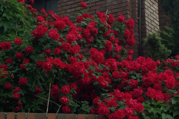 報復心很強,很容易記仇的星座,他們真的不好惹 報復心很強,很容易記仇的星座,他們真的不好惹