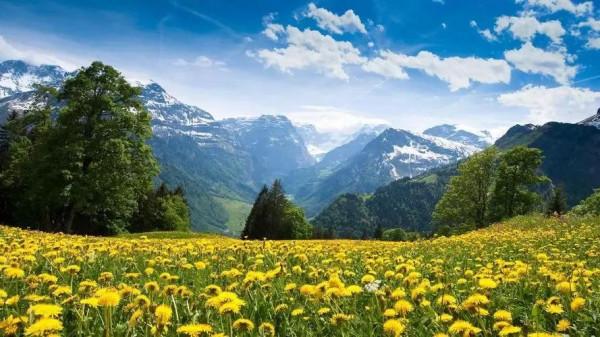 過年走親戚就是資訊交流時