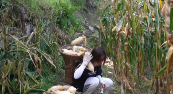 四川19歲女孩患絕症，唯一願望是見生母一面，為何母親拒絕相見？