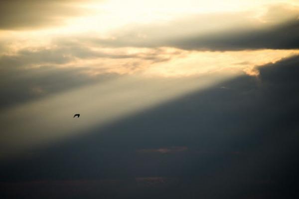 20 多張可以讓任何人驚歎的照片,“這不可能是真的!” 20 多張可以讓任何人驚歎的照片,“這不可能是真的!”