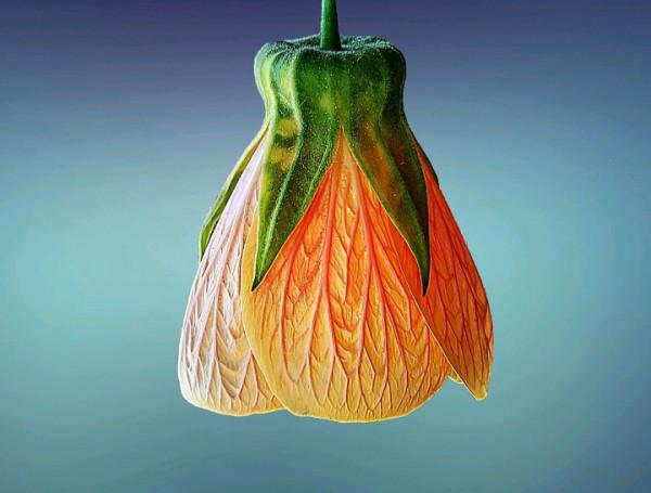 有氣質，看起來溫柔，但骨子裡卻有硬氣的星座：大約這就是情商