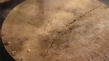 年末太難熬？我給你做了熱騰騰的肉和飯