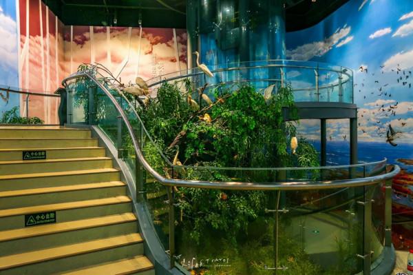 第一站,黃河入海口! 第一站,黃河入海口!