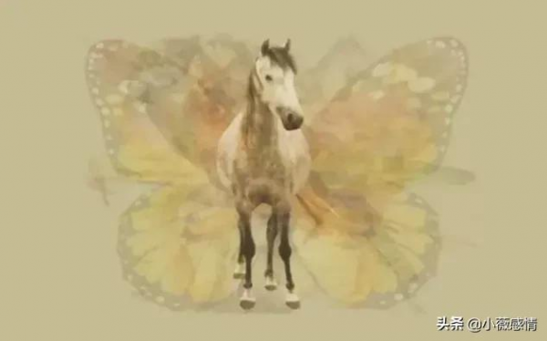 你第一眼看到的是什麼動物？測出你的真實性格