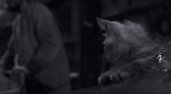 一部黑白電影，充滿腐爛肉香