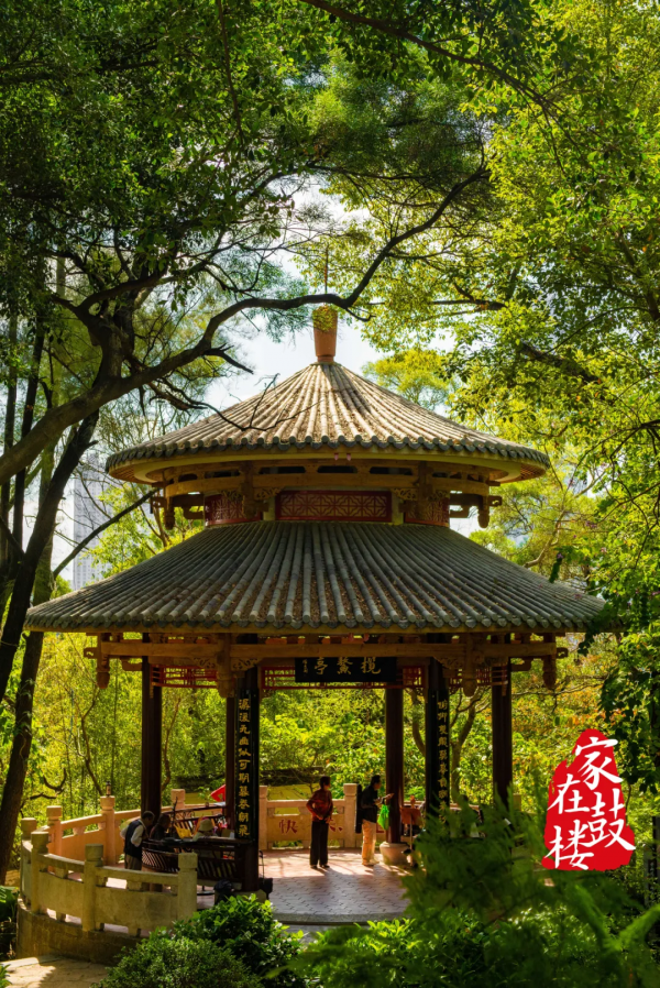 行走狀元峰，快哉！