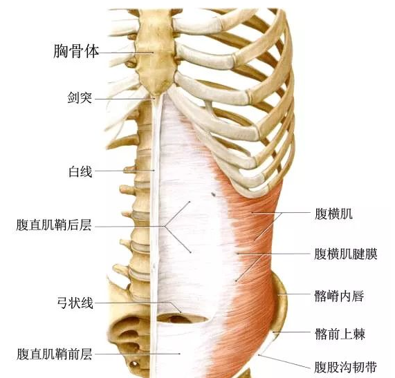 黃奕這是整殘了嗎？歪嘴臉僵硬變形還香腸嘴，太雷人了