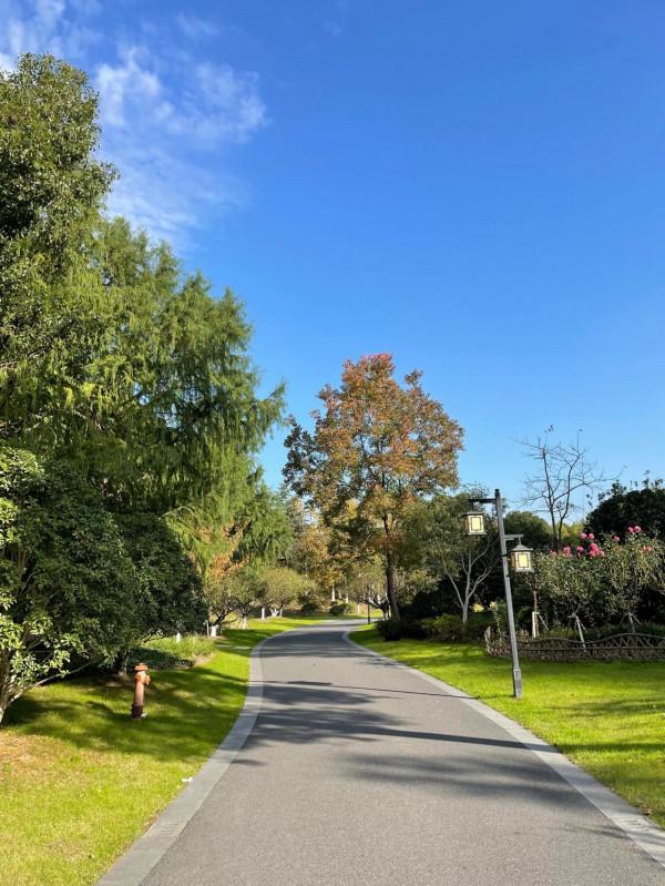 陽光☀️慢跑 陽光☀️慢跑