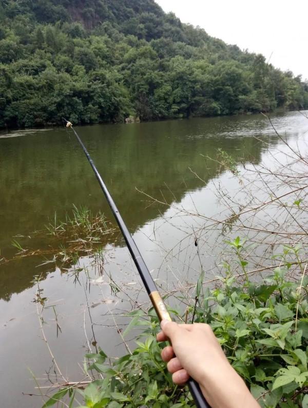 野外釣魚為什麼不合適使用新關東魚鉤？
