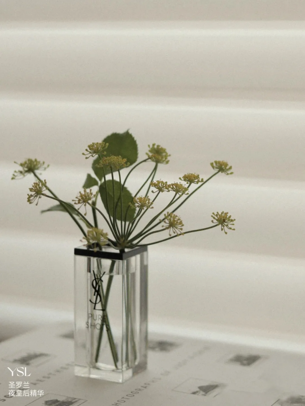 護膚品空瓶不要扔!動手改改,家裡一整個變香氛花園 護膚品空瓶不要扔!動手改改,家裡一整個變香氛花園