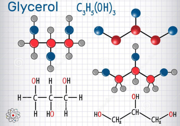為什麼我們叫碳基生命？因為一切生命物質都是基於碳元素搭建