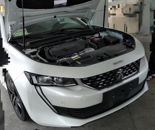 原版標緻508或將入華？躁動起來吧