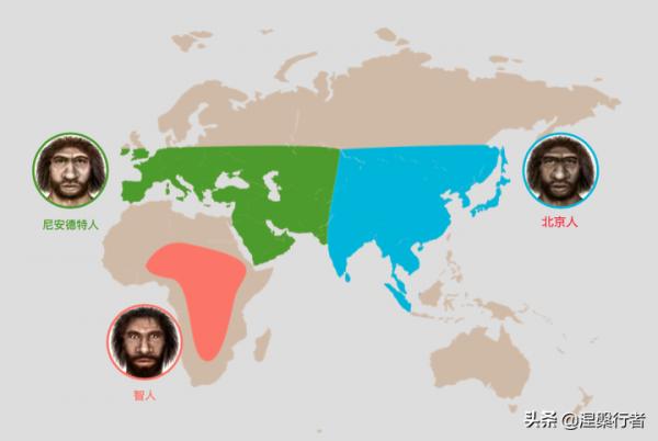 人類褪毛簡史 人類褪毛簡史