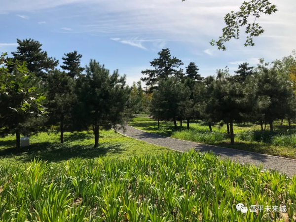 首次曝光！溫榆河公園昌平一期探秘，實在太美了