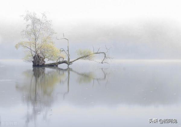 十二星座如何化險為夷？