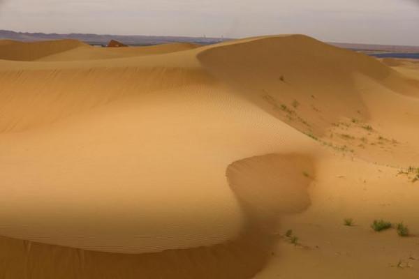 中衛沙坡頭旅遊,越野車穿越騰格里,看到最美的大漠落日 中衛沙坡頭旅遊,越野車穿越騰格里,看到最美的大漠落日