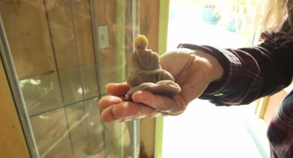 外國牛人自制人工小島，一住就是29年