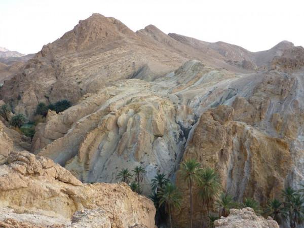 「突尼西亞2014」託澤尓（一）&mdash;&mdash;沙漠中的綠寶石