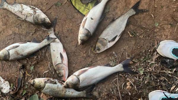 水滴輪調剎車、防炸線的實用方法