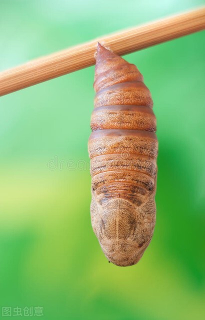 太極拳傷人之巧與不傷人之巧