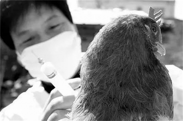 除了毛朱劉周任五大書記，還有2位候補書記：是誰？結局如何？