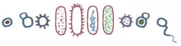 奇怪的冷知識：人體最髒的部位是其實是鼻腔