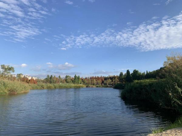 欣賞藍天白雲下的景色 欣賞藍天白雲下的景色