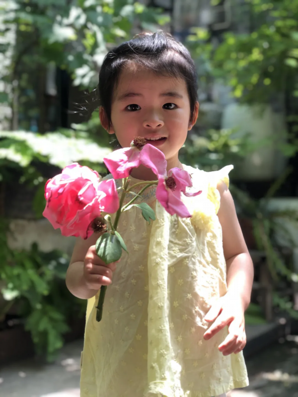 北大女博士成直男迷妹，租下北京二環四合院，打造出最綠的房子