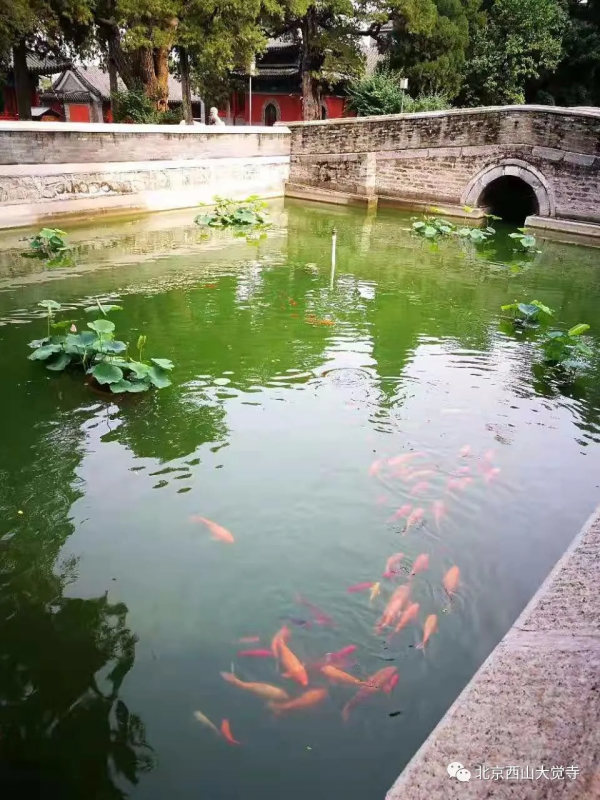 大覺寺清水院，幽都之勝概